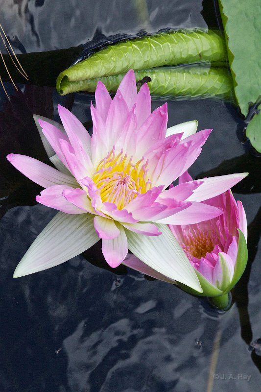  V3D7957 - Version 2